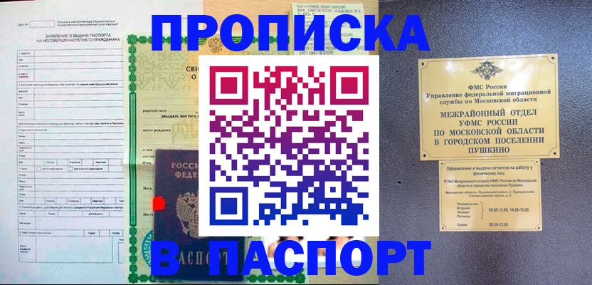 временная регистрация госуслуги в Щёкино