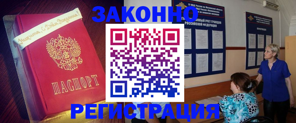 прописка поиск в Щёкино