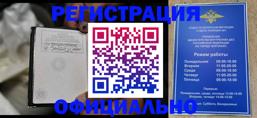 где прописаться в Щёкино